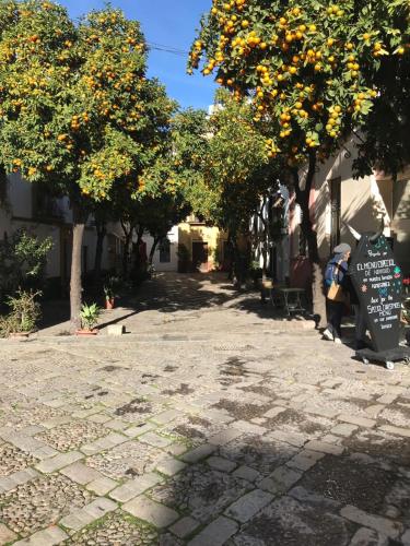 Apartamentos Flamenco B&B