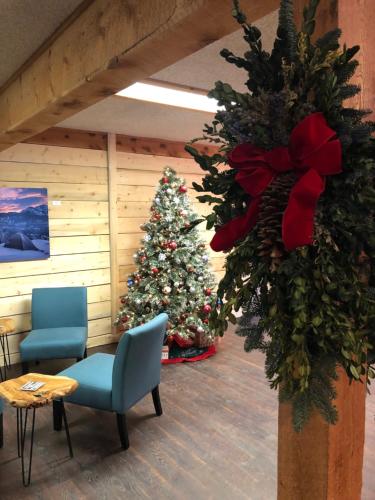 ห้องส่วนกลางสำหรับนั่งเล่น/ดูทีวี, Timber Ridge Lodge Ouray in อูเรย์ (โคโลราโด)