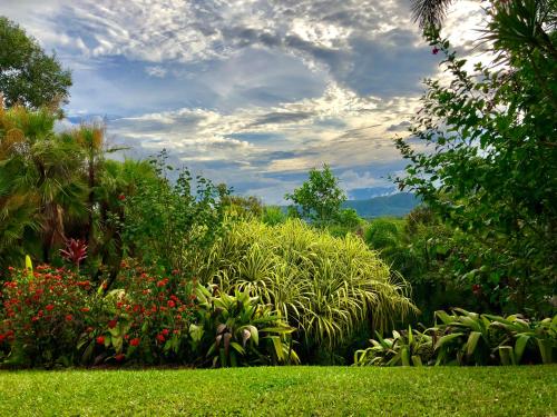 Daintree Manor B&B