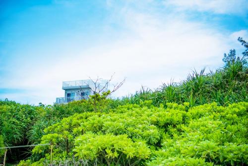 Umito Nakama Okinawa Main island