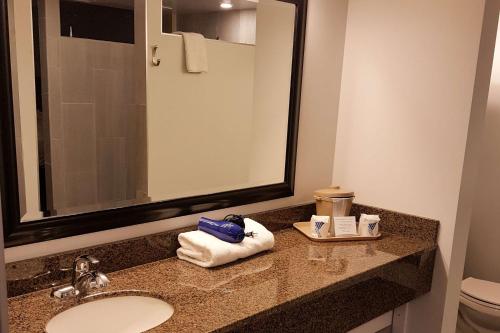 Quality Inn West Edmonton