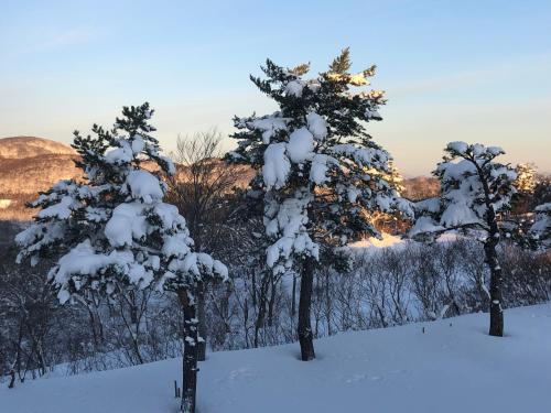First Tracks Madarao – Iiyama, MS