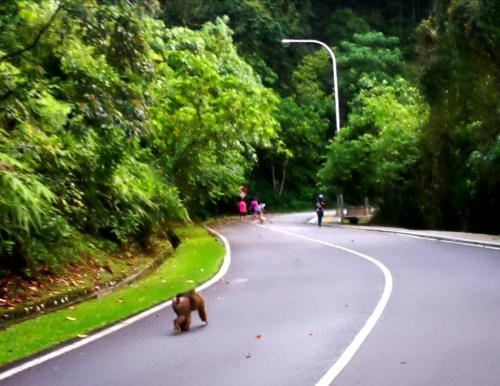 Nature Surrounded & Jacuzzi@KL City