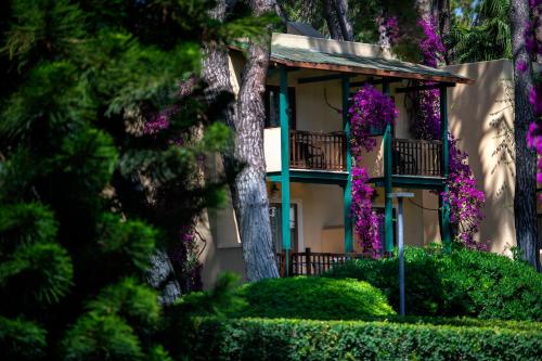 Hotel Turquoise