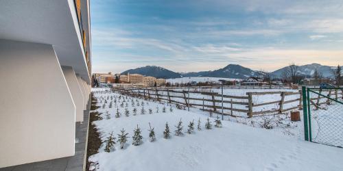 Tatraline Jasna in เดมาโนวา