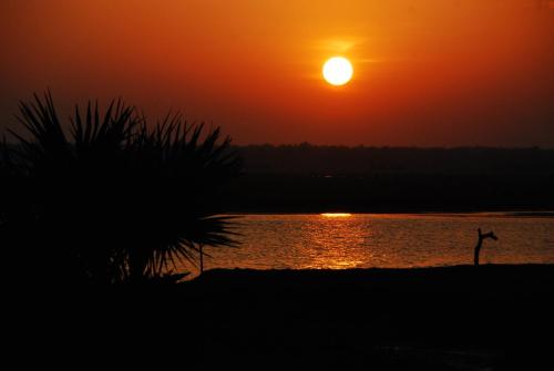 Utsikt, Nature Camp Konark Retreat in Konark
