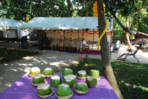 Fasiliteter, Nature Camp Konark Retreat in Konark