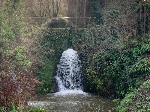 Little Norton Mill - image 14