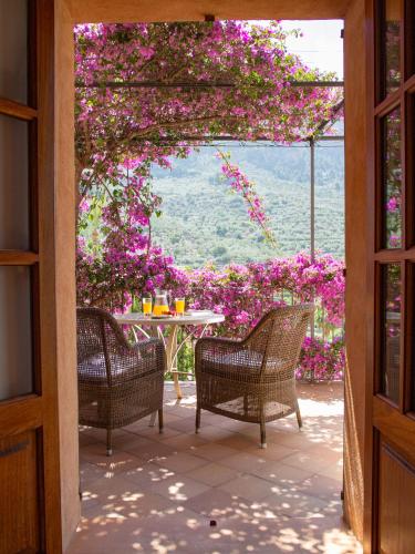 شرفة/ تراس, شقة فندقية سا تانكويتا دو فورنالتوكس - للكبار فقظ (Hotel Apartament Sa Tanqueta De Fornalutx - Adults Only) in فورنالوتز