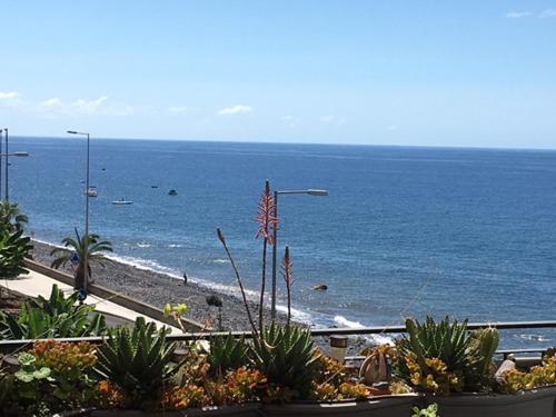  Madeira Dreams - 73268/AL in Madalena do Mar