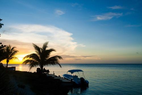 Omgeving, Las Rocas Resort and Dive Center in West Bay