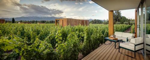 Entre Cielos Luxury Wine Hotel & SPA