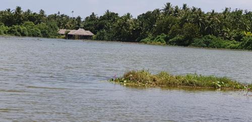 Fuvahmulah inn – photo 5