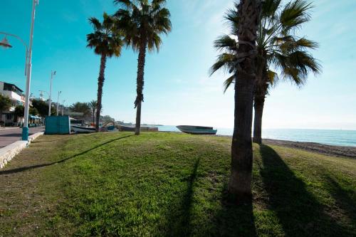 Letmalaga Cremades Beach, Málaga (fotografie 8)