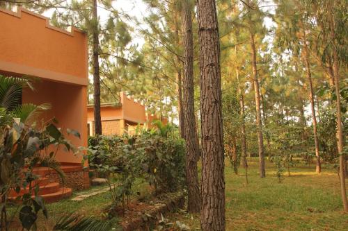 Pogled, Saltek Forest Cottages in Masindi