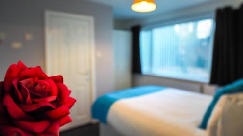 Ur City Pad - 4 bedrooms - 4 bathrooms - Somerset House - image 12