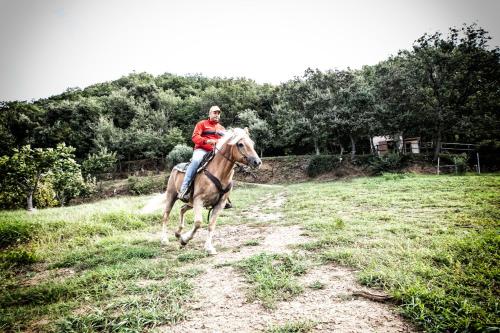 Borgo Rosso di Sera Resort - image 6