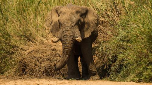 Kwalucia Private Safari Retreat