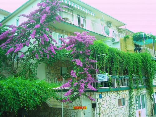 Villa Volga - image 8
