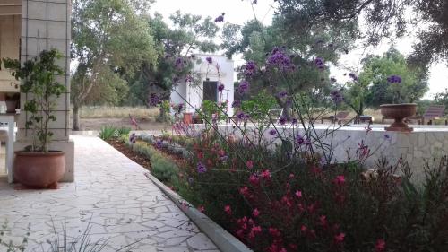 The Proud garden