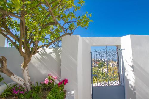  The Lemon Tree House in Vóthon