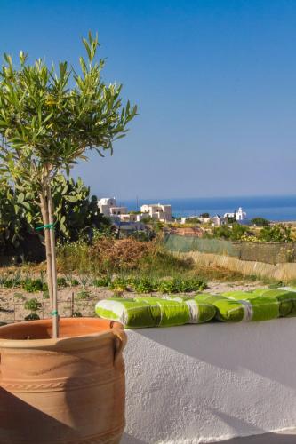  The Lemon Tree House in Vóthon