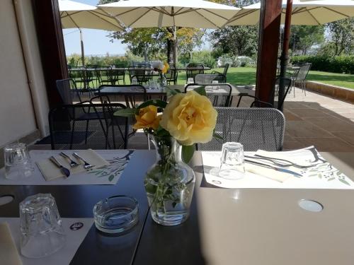 Agriturismo La Rinaldina in Faenza