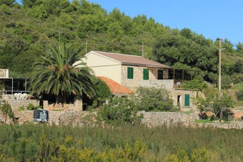 Seaside holiday house Cove Parja Vis - 8892 - image 6