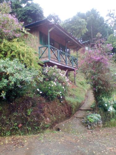 Las Cataratas Lodge in San Gerardo de Dota