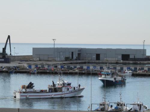 Mumm by Pillow - image 8