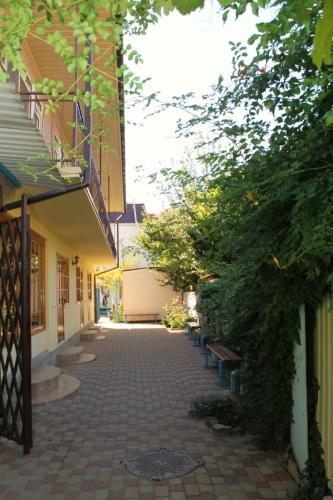 Anna-Tereza - image 4