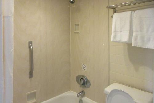 Econo Lodge Zanesville Downtown - 화장실