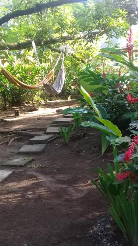 Garden, casa chilamates in Tortuguero