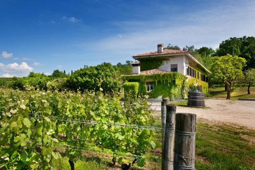 Agriturismo Tra Le Vigne - image 14
