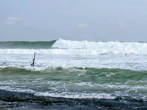 Surfing Life - image 2