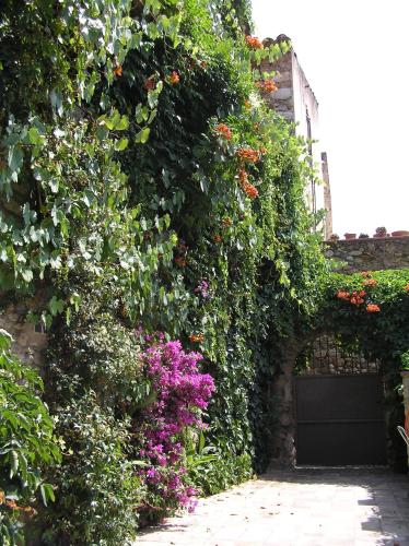 CAN TRAVÉ (CAN TRAVE) in Crespia