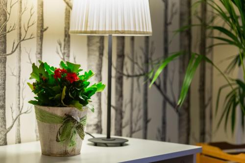Trevi Fountain Apartment