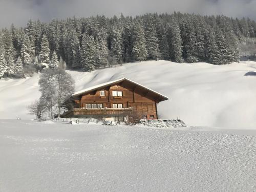Abelied, Adelboden (foto 3)