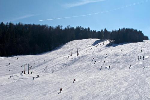 Modri Apartma
