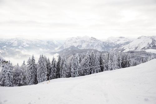 Hirschen Schwarzenberg Bregenzerwald