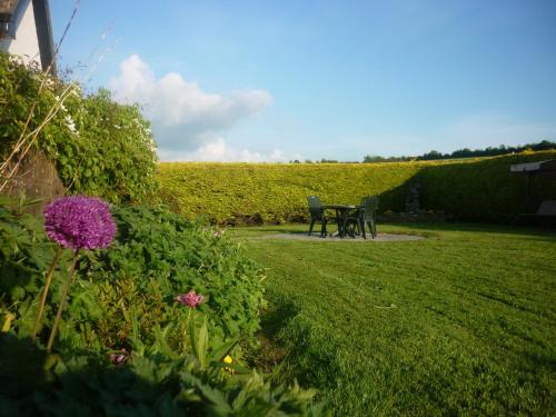 Castle View B&B