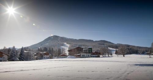 Hotel Waldfrieden - صورة 4