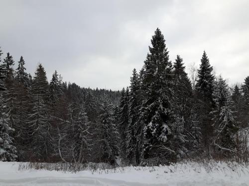 Bacówka w sercu gór - dom z bali w Gorcach Bacówka w sercu gór - dom z bali w Gorcach