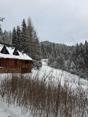 Bacówka w sercu gór - dom z bali w Gorcach Bacówka w sercu gór - dom z bali w Gorcach
