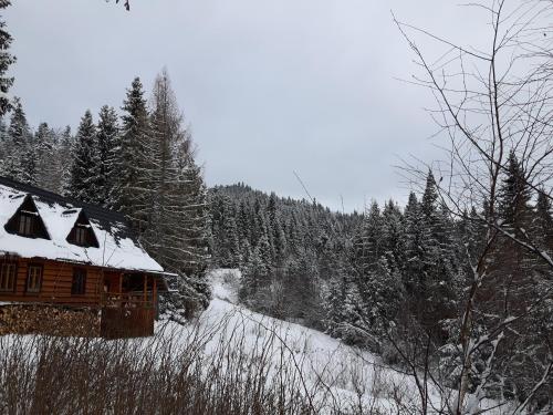 Bacówka w sercu gór - dom z bali w Gorcach Bacówka w sercu gór - dom z bali w Gorcach