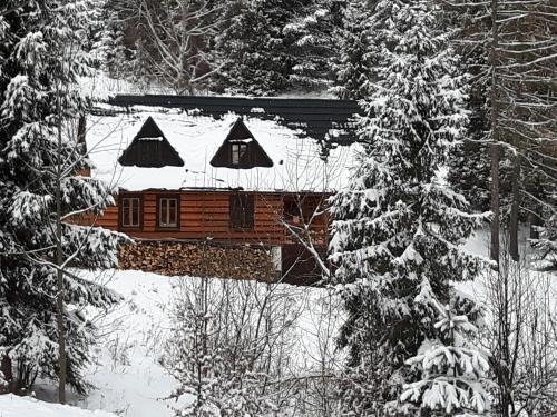 Bacówka w sercu gór - dom z bali w Gorcach Bacówka w sercu gór - dom z bali w Gorcach