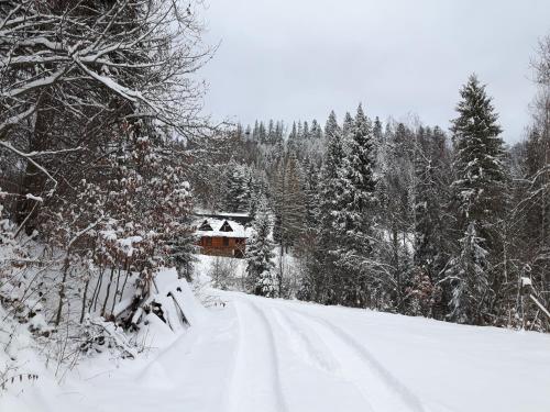 Bacówka w sercu gór - dom z bali w Gorcach Bacówka w sercu gór - dom z bali w Gorcach