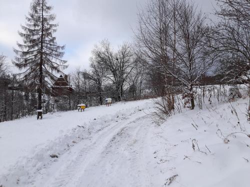 Bacówka w sercu gór - dom z bali w Gorcach Bacówka w sercu gór - dom z bali w Gorcach