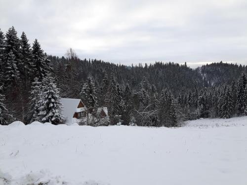 Bacówka w sercu gór - dom z bali w Gorcach Bacówka w sercu gór - dom z bali w Gorcach