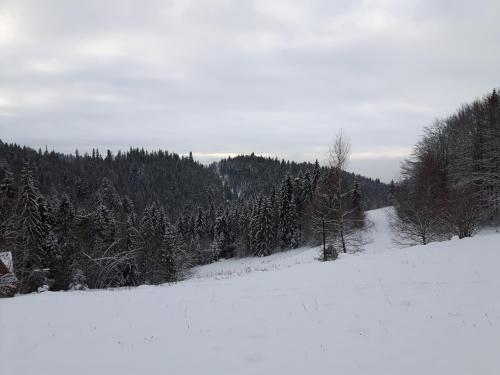 Bacówka w sercu gór - dom z bali w Gorcach Bacówka w sercu gór - dom z bali w Gorcach